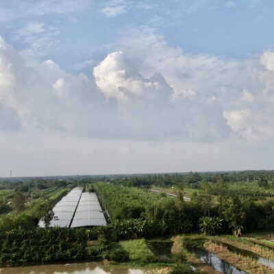 Hệ thống năng lượng mặt trời áp mái kết hợp trang trại trồng nấm tại Tỉnh Hậu Giang
